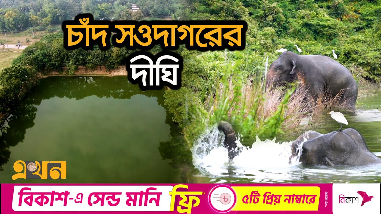 হ্রদের জলে হাতি আর বকের মিতালী | Documentary Of Chittagong | Deyang Hill Chittagong | Ekhon TV
