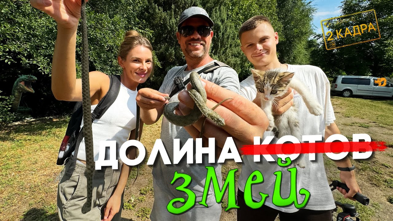 Долина змей. Сухая долина Тамашлык. В поисках гадюки. 2 кадра 25.07.2024