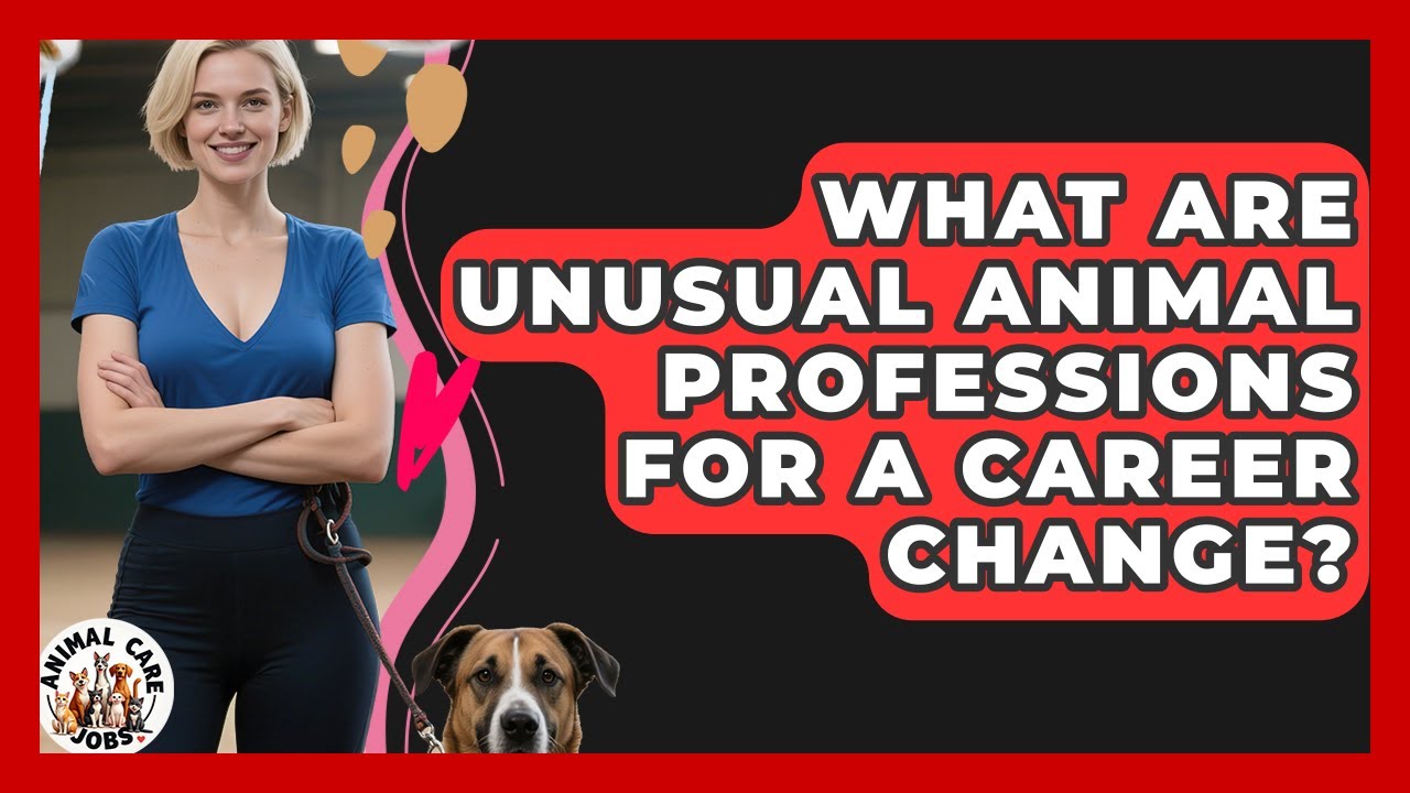 What Are Unusual Animal Professions For A Career Change? - Animal Care Jobs