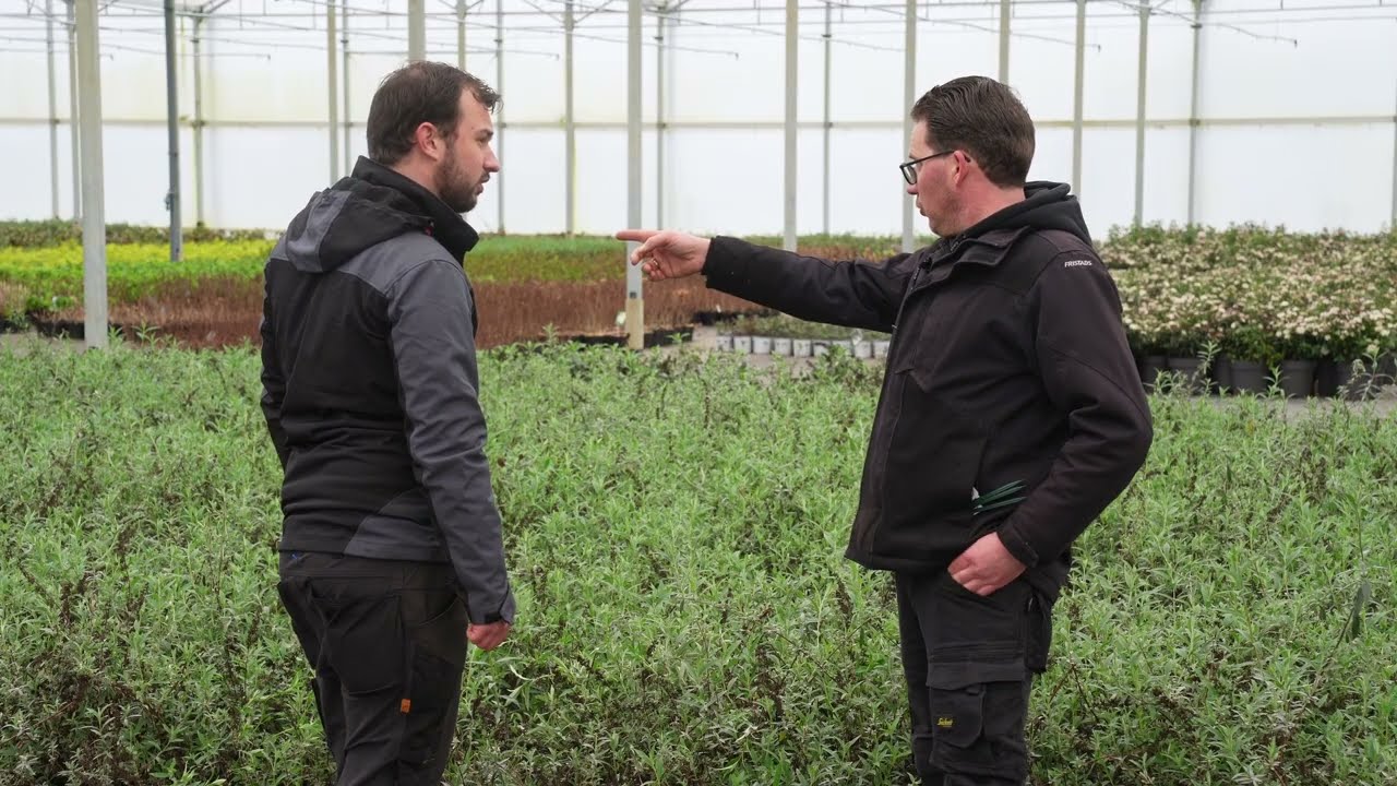 Op bezoek bij een tuinplanten kwekerij van Directplant