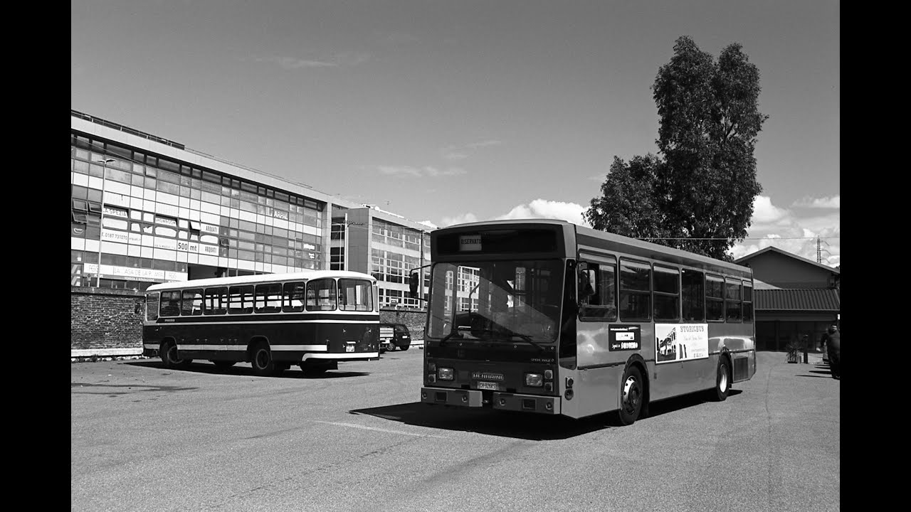 [StoricBus] Rievocazione storica Fiat 309/1 Pietroboni, Menarini 201/2 NU e Bredabus 4001 - 15/04/23