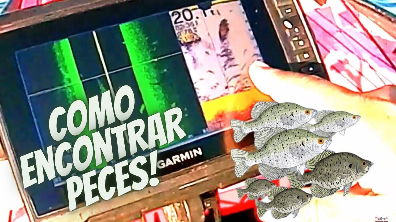 Como encontrar Peces Facil (Crappies ) Usando sonda garmin UHD 73 SV