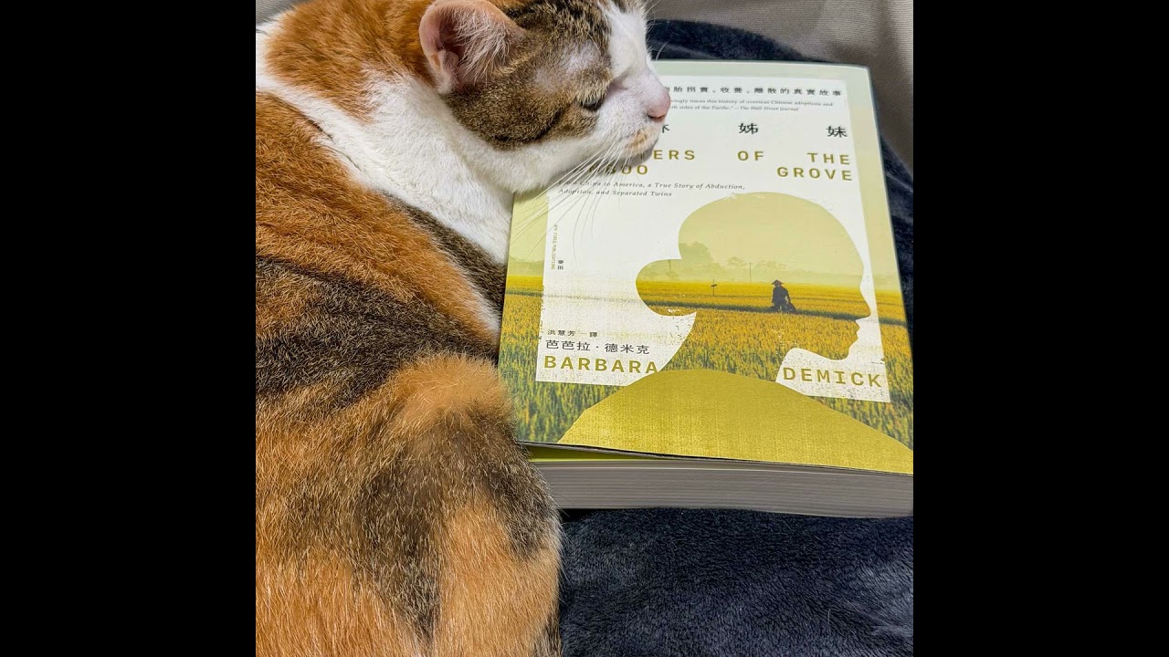 【書中自有黃金鮑EP121】錯置的時空，獨裁國度下不可思議的心碎悲劇：《竹林姊妹》
