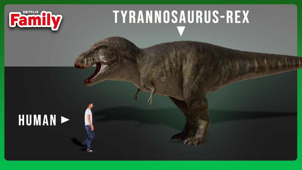 Human VS Dinosaurs Size Comparison | The Dinosaurs | Netflix Family