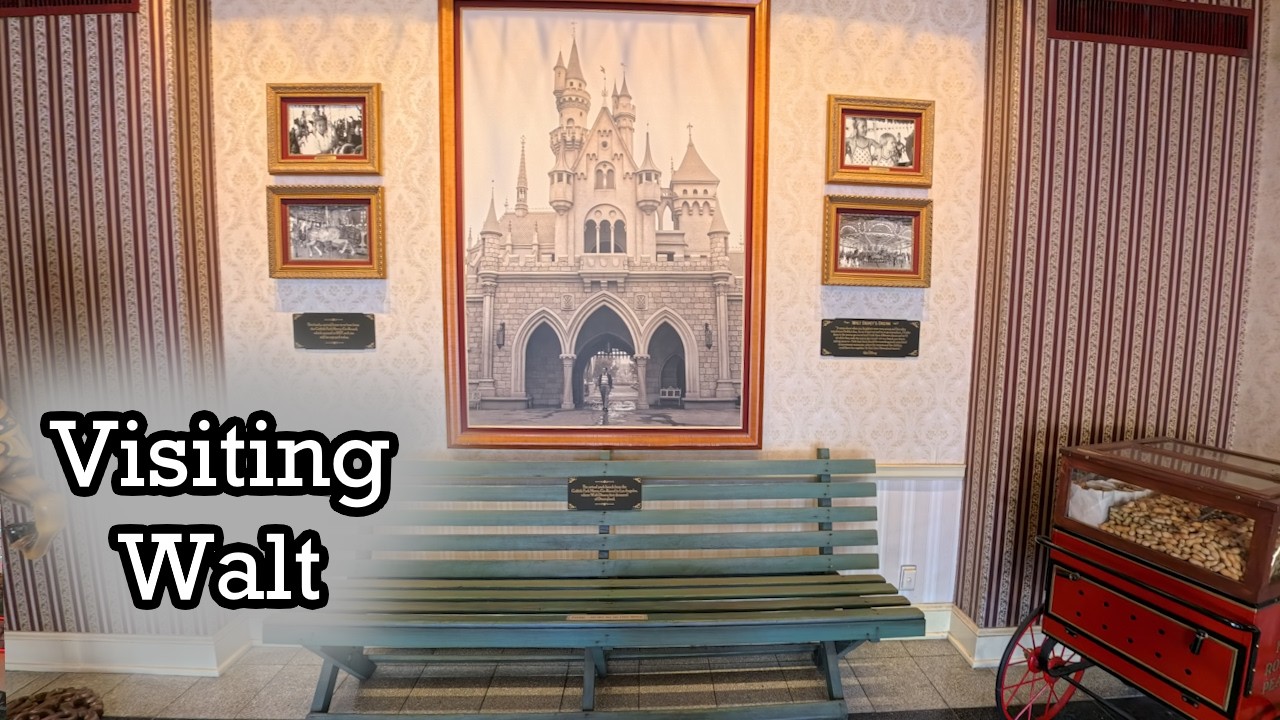 Our last day as a Magic Key Holder | Disneyland Vlog Part 14