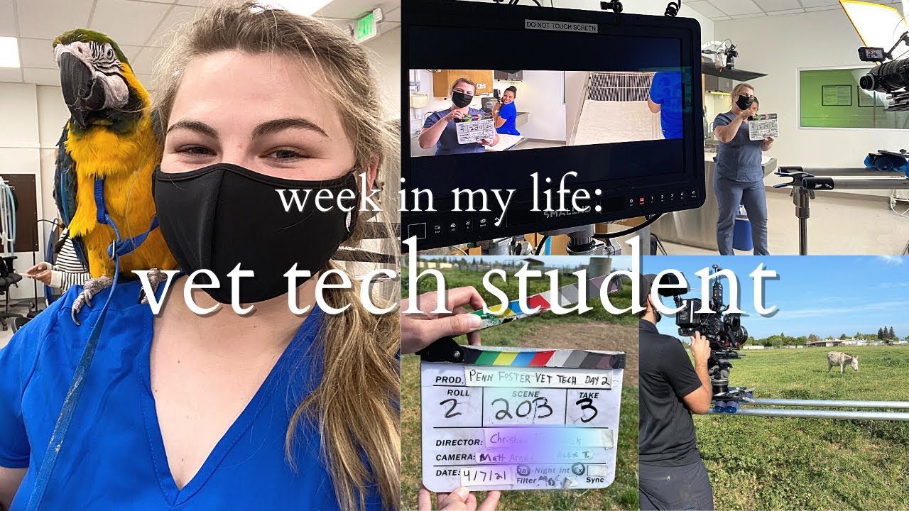 WEEK IN MY LIFE: Vet Tech Student Vlog | Penn Foster Educational Videos