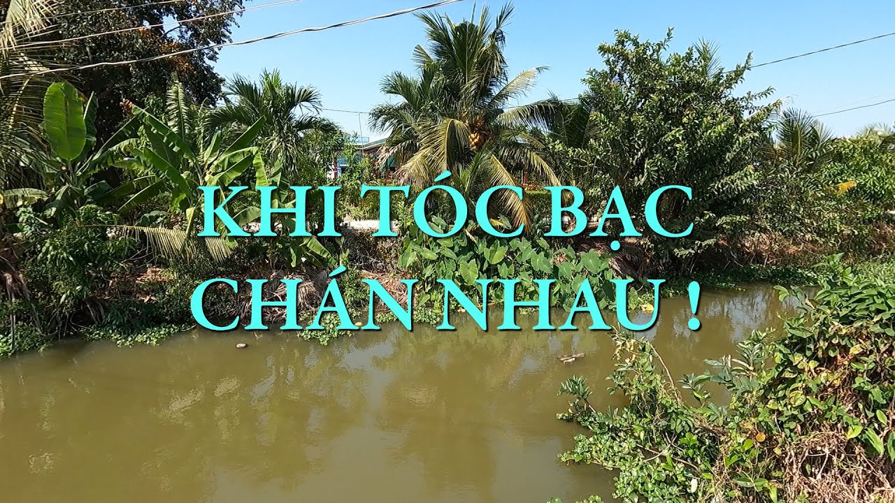 Khi t&oacute;c bạc ch&aacute;n nhau ! | Chuyện đời Xưa nay