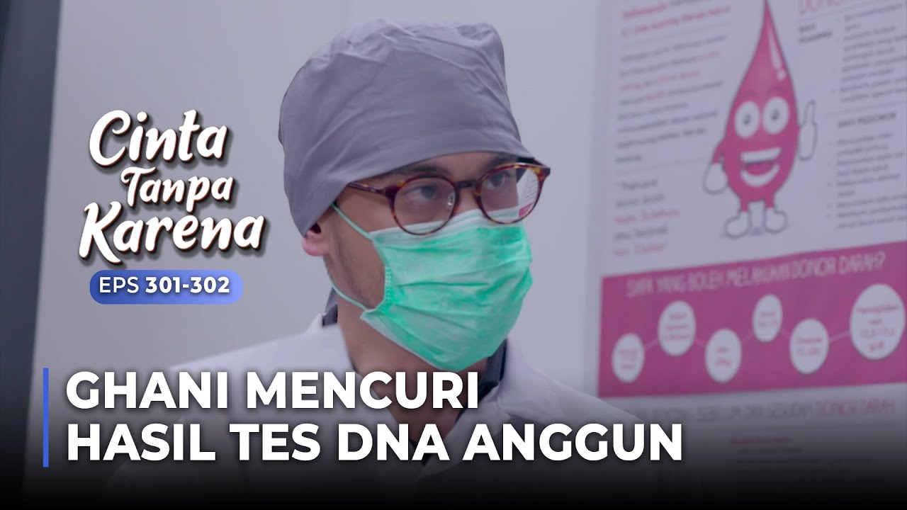 MENYELINAP! Ghani Mencuri Hasil Tes DNA Milik Anggun | CINTA TANPA KARENA | EPS 301-302 (5/5)