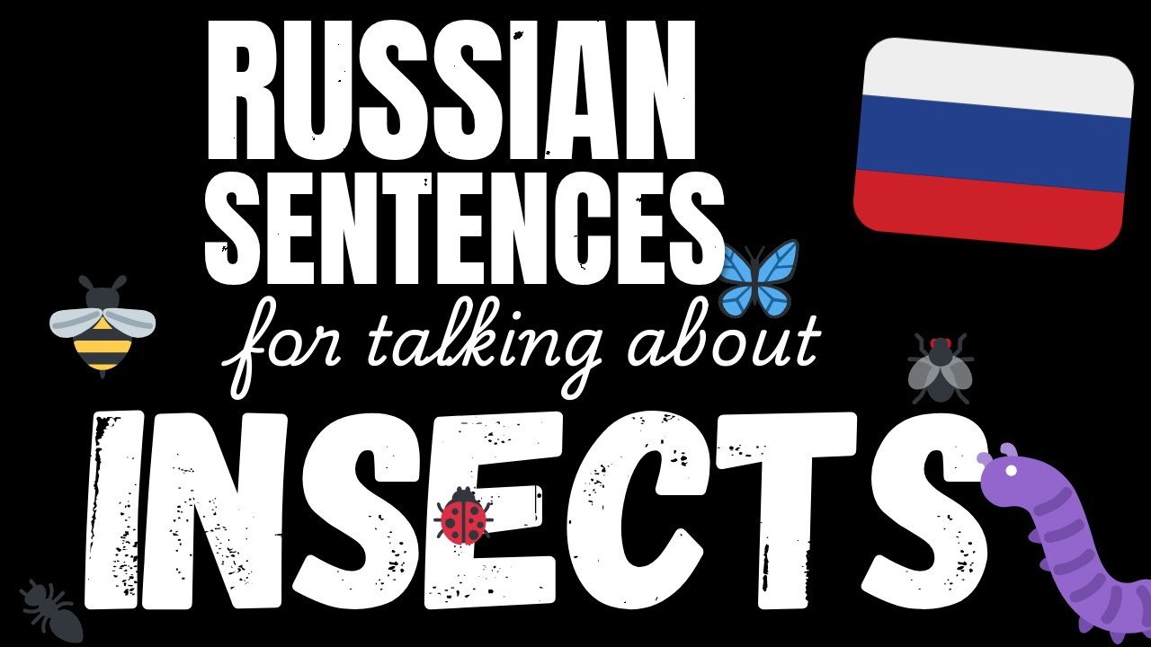 100 Easy Russian sentences - Insects | Learn A1 Russian vocabulary