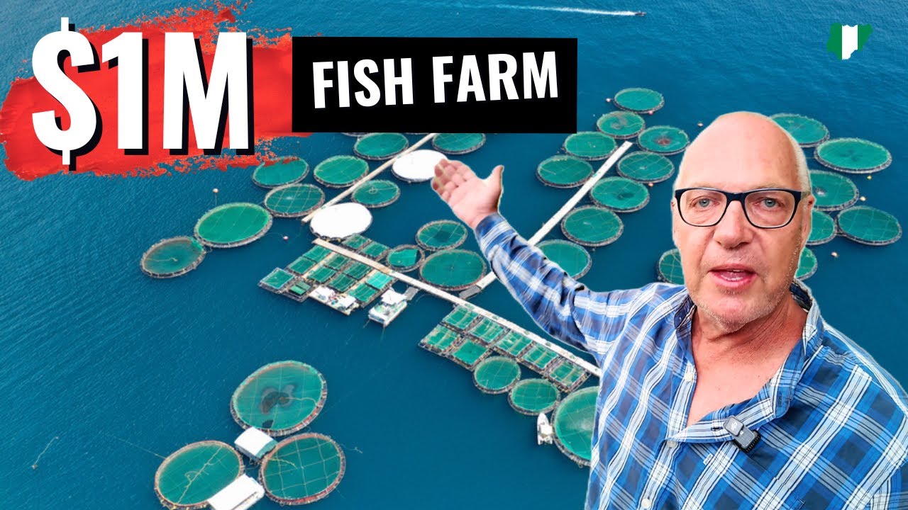 I Left the Netherlands for Nigeria to Farm Fish
