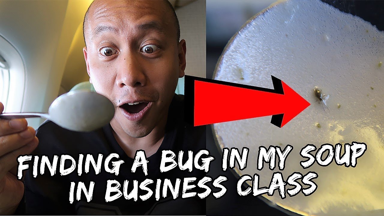 I Found a Bug in My Soup in Business Class | Vlog #351