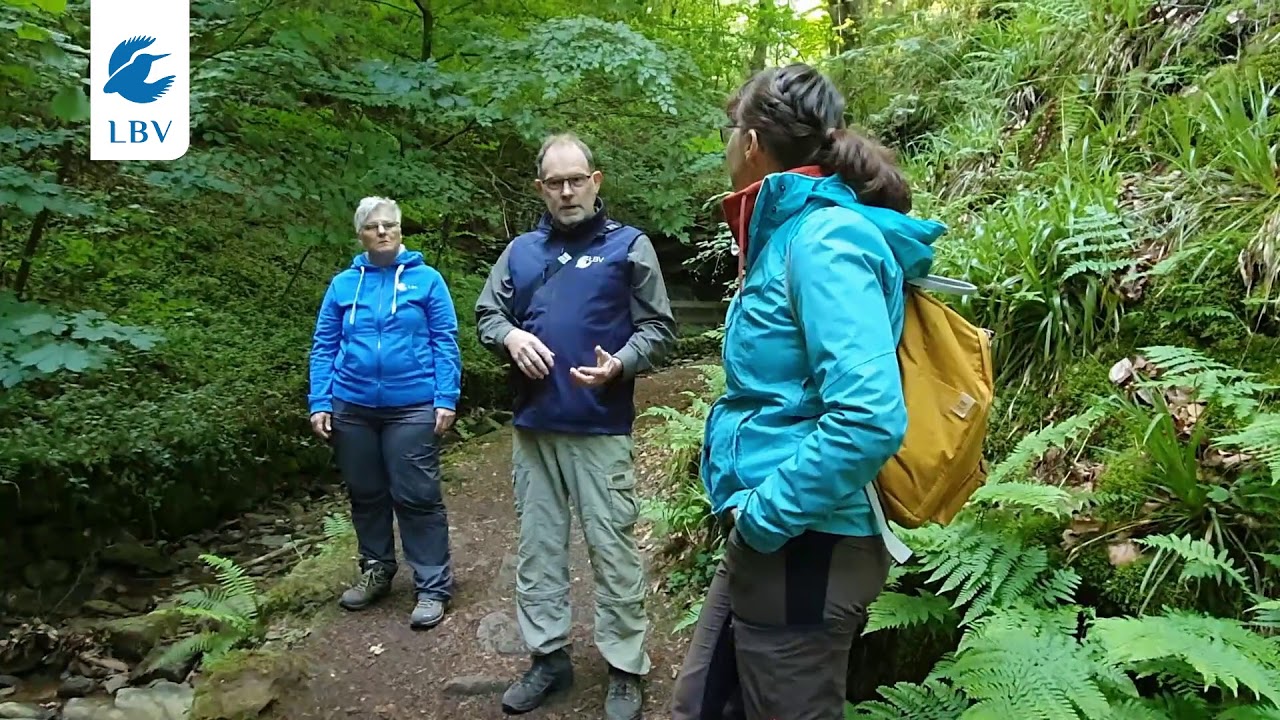 Naturspaziergang zum Feuersalamander