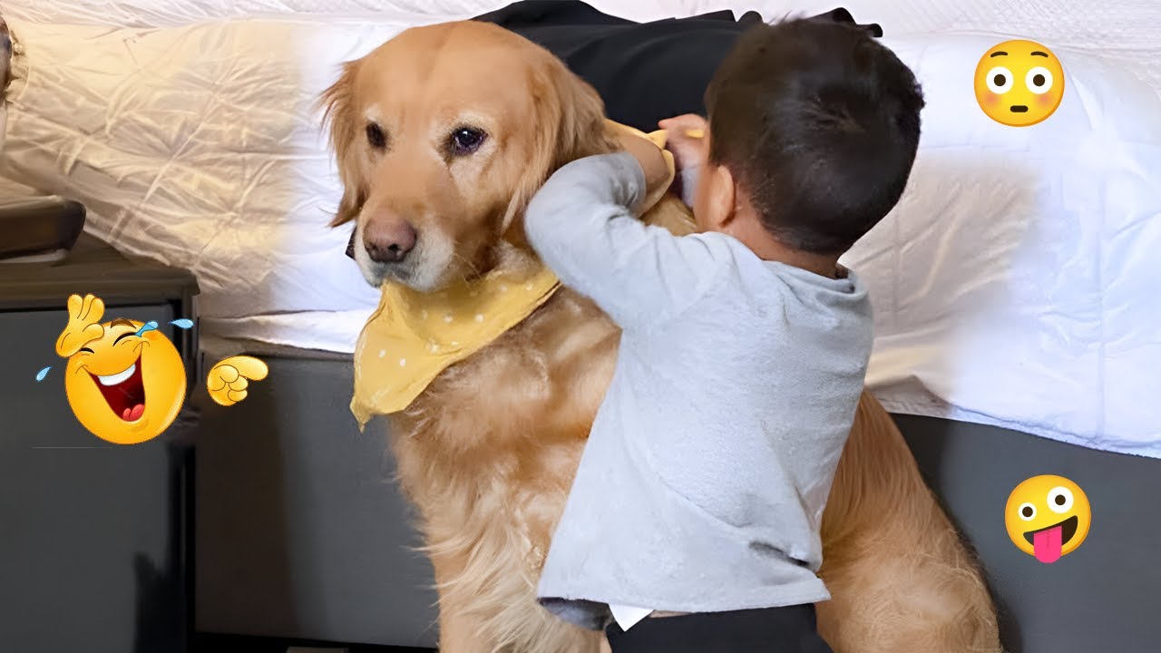Hilarious Animal Videos 😹🐶 Funniest Dog Clips Compilation 🐾 #32