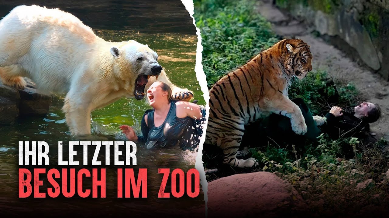 Die t&ouml;dlichsten Zooangriffe: Wenn Tiere zur&uuml;ckbei&szlig;en