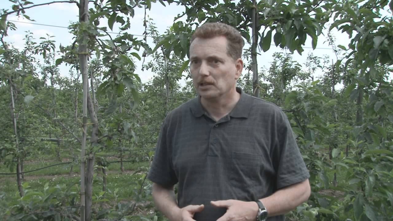 Pflanzenschutz im ökologischen Obstbau