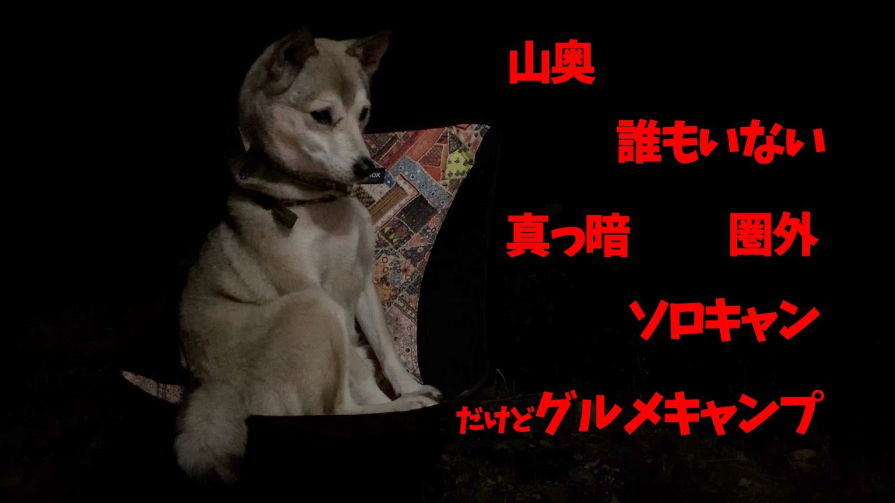 【誰もいない河原で冬キャンプ🐕】圏外だし真っ暗だけどロケーションは最高の無料キャンプ場で怯えながら宮崎グルメご飯🍽Takachiho Gorge and Camp
