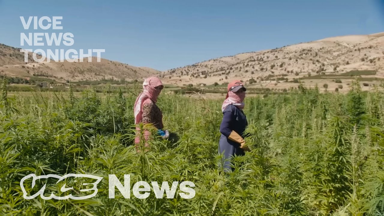 Inside Lebanon’s Illegal Weed Business
