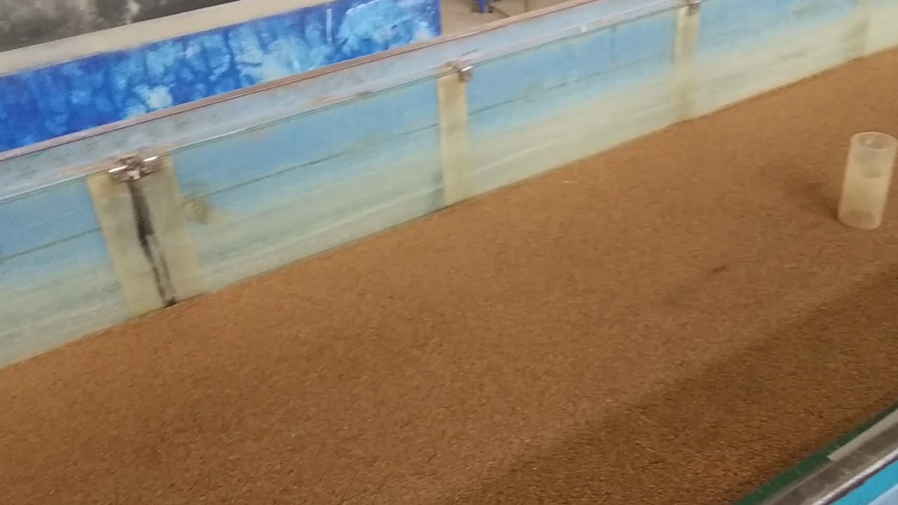 Flow around a bridge pier model in a mobile bed flume