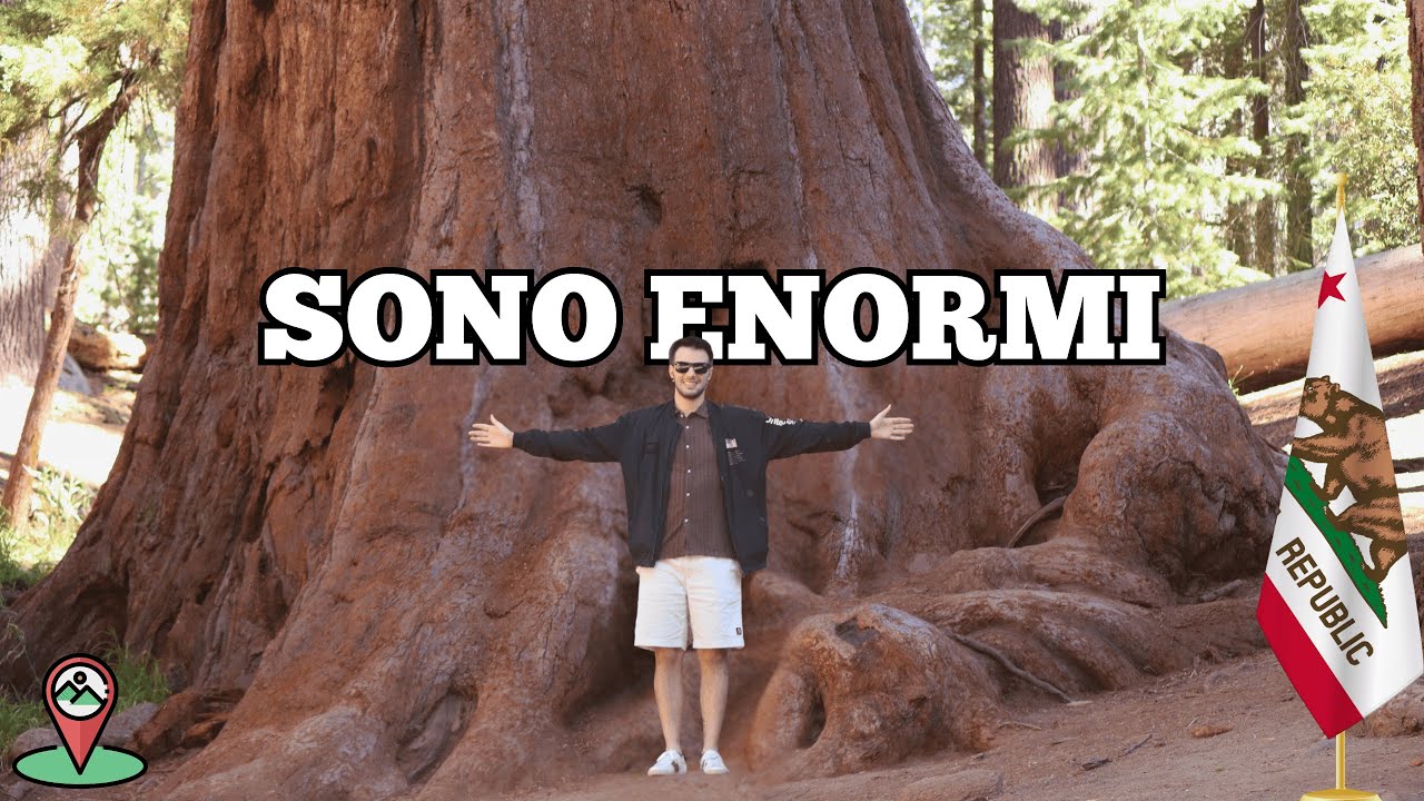TRA ALBERI GIGANTI AL SEQUOIA NATIONAL PARK
