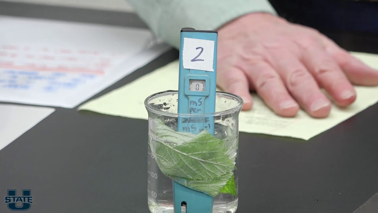 Temperature Stress Physiology - April 17, 2020
