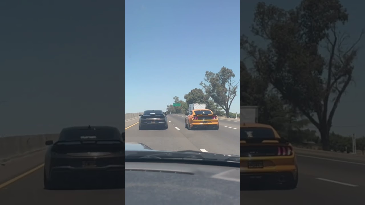 Dark Horse VS GT Roll Race