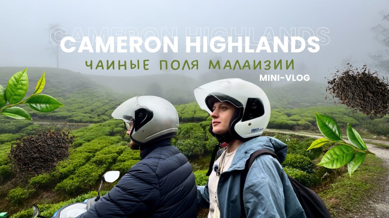 Чайные плантации Малайзии 🇲🇾 | Cameron Highlands | цены, маршрут, влог