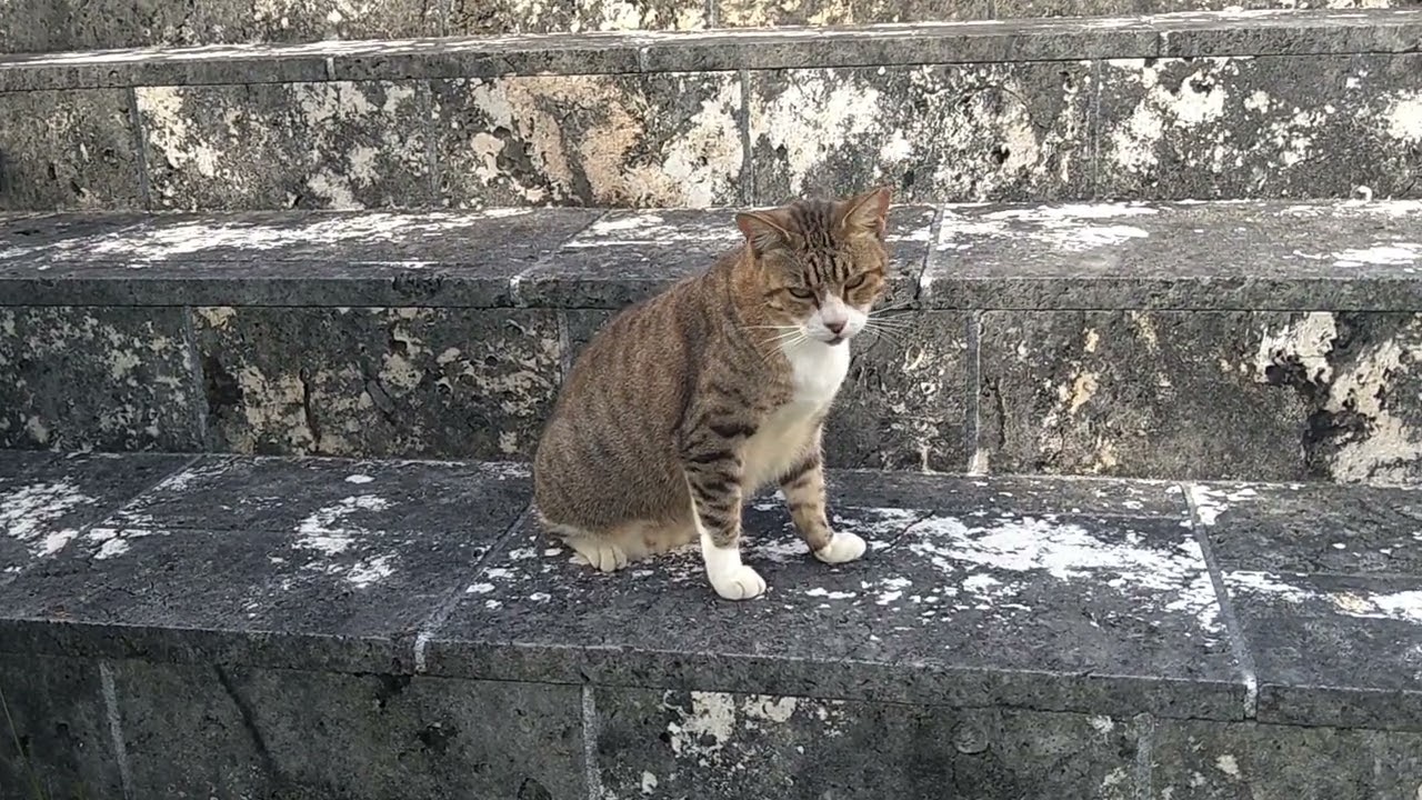 むんむん(  ¯꒳​¯ )