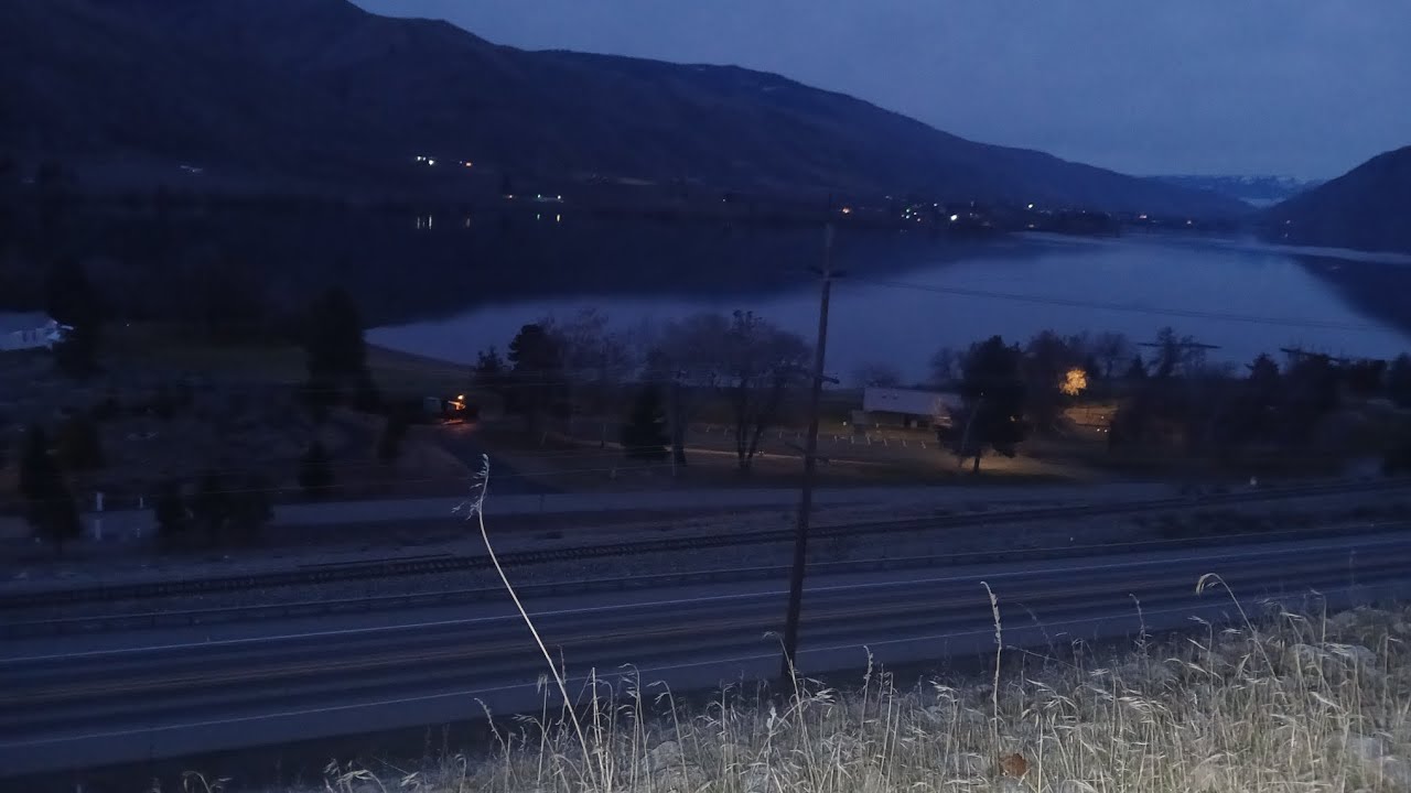 Exploring a field at night 