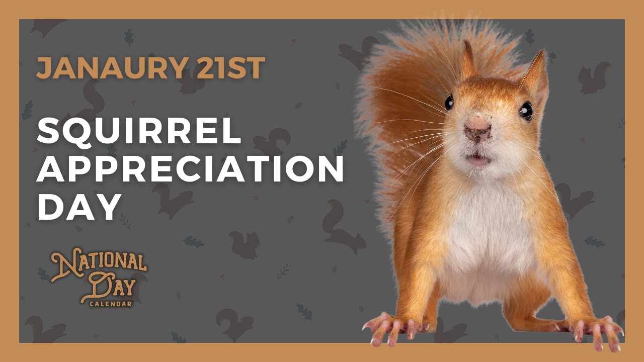 SQUIRREL APPRECIATION DAY | January 21st - National Day Calendar