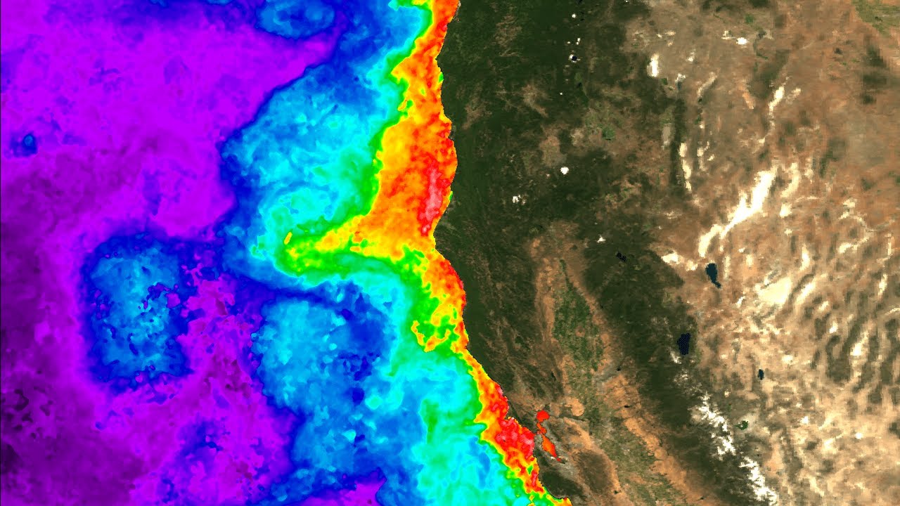 Domoic Acid Decoded: Scientists Discover Genetic Basis for How Harmful Algal Blooms Become Toxic
