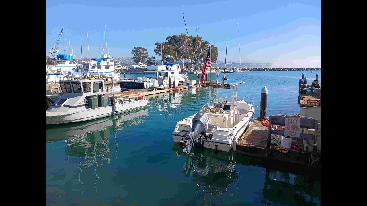 Dana Point Dolphin Watch
