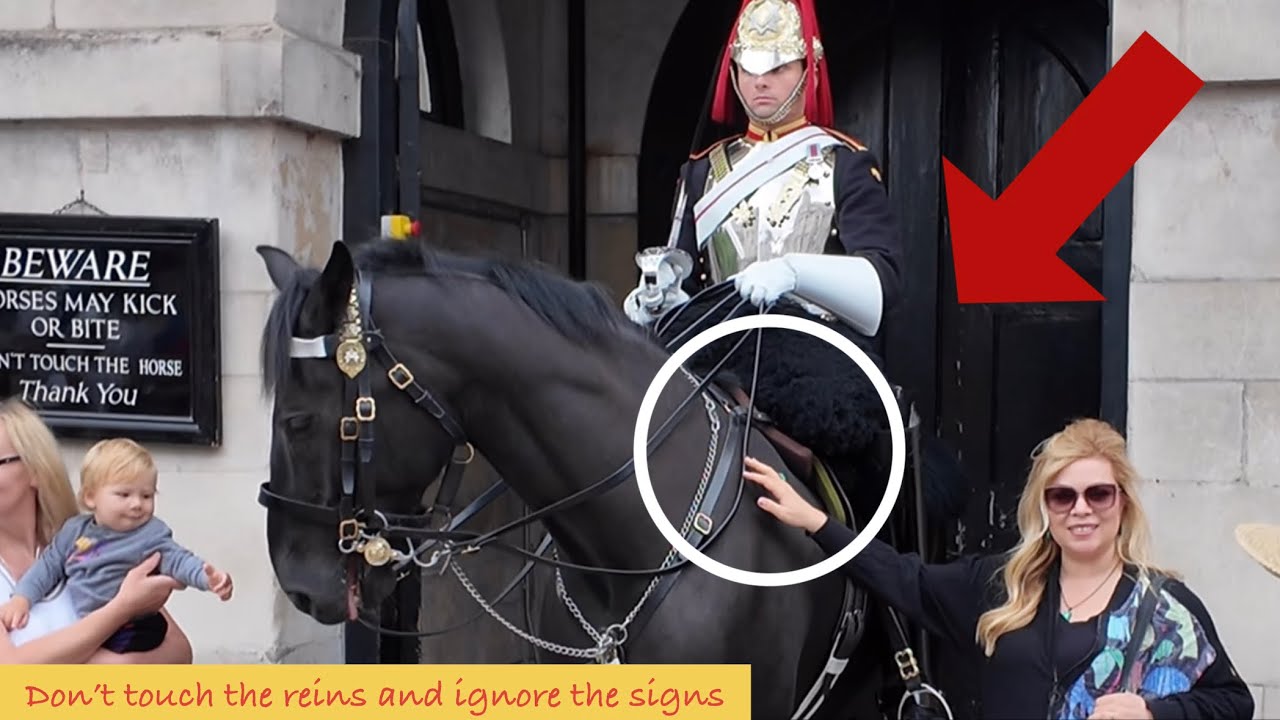 DISRESPECTFUL TOURISTS REFUSE TO RELEASE HOLD ON HORSE’S reins.
