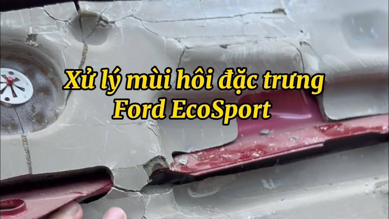 Xử lý mùi hôi xe Ford EcoSport