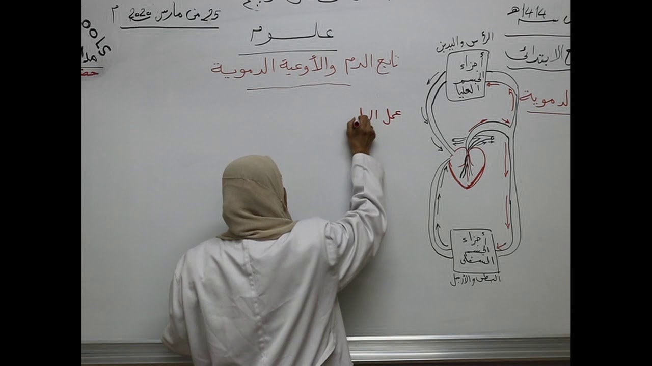 مادة العلوم للصف الرابع الأساسي _ تابع درس الدم والأوعية الدموية