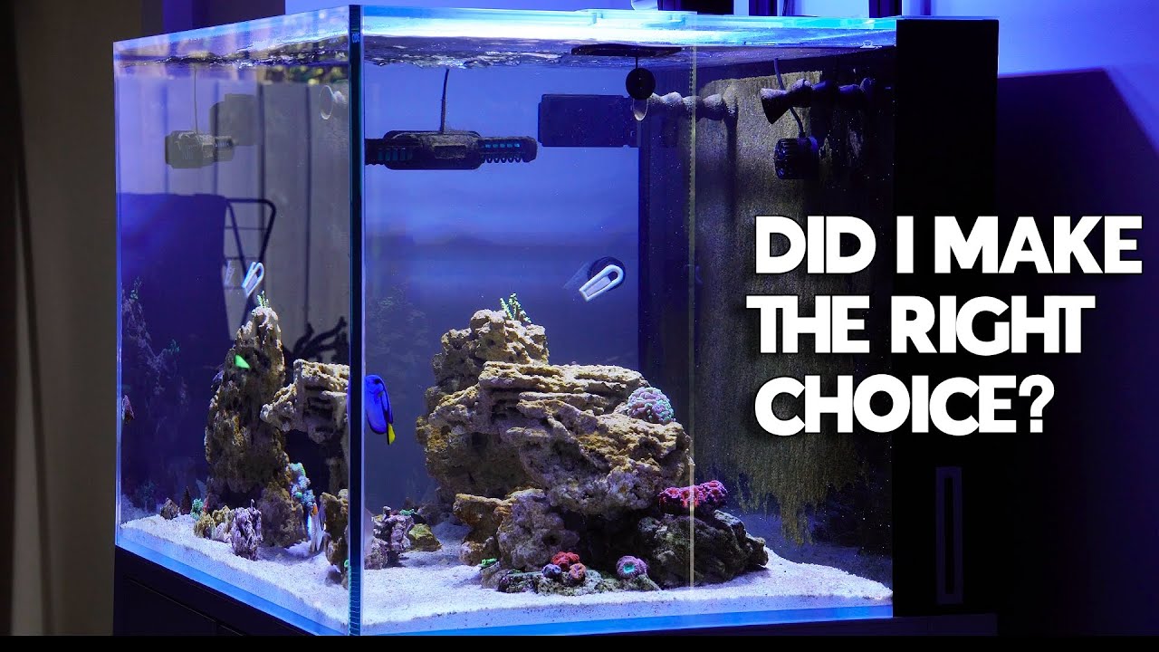 My Initial Thoughts on The Cade S3 900 Reef Tank