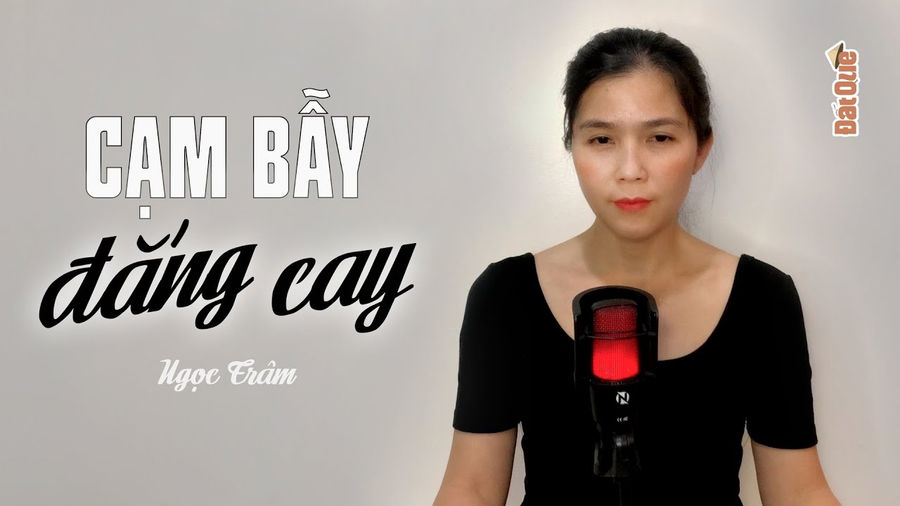 CẠM BẪY ĐẮNG CAY - Truyện ngắn x&atilde; hội Đất Qu&ecirc; Radio