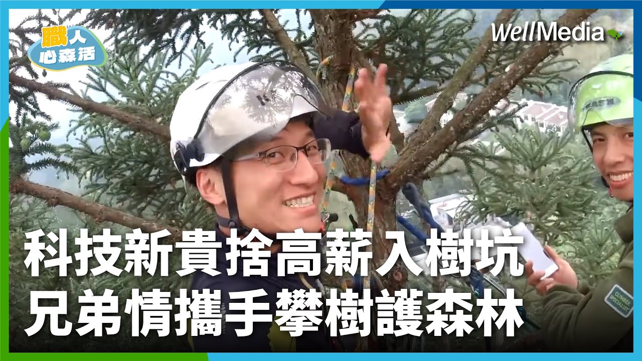 捨科技業高薪！20年兄弟情 攜手攀樹守護森林！全台首位考上國際ISA攀樹師：我跟森林是生命共同體【職人心森活】 EP3 (上集) WellMedia @WellMediaGlobal