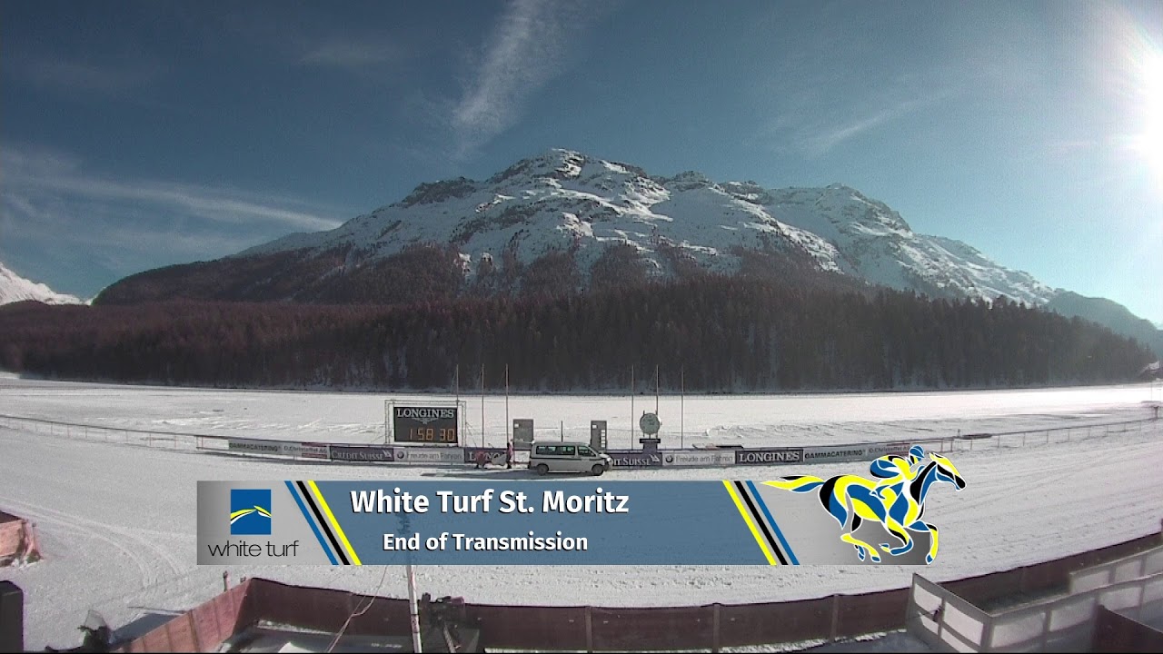 White Turf Live Stream