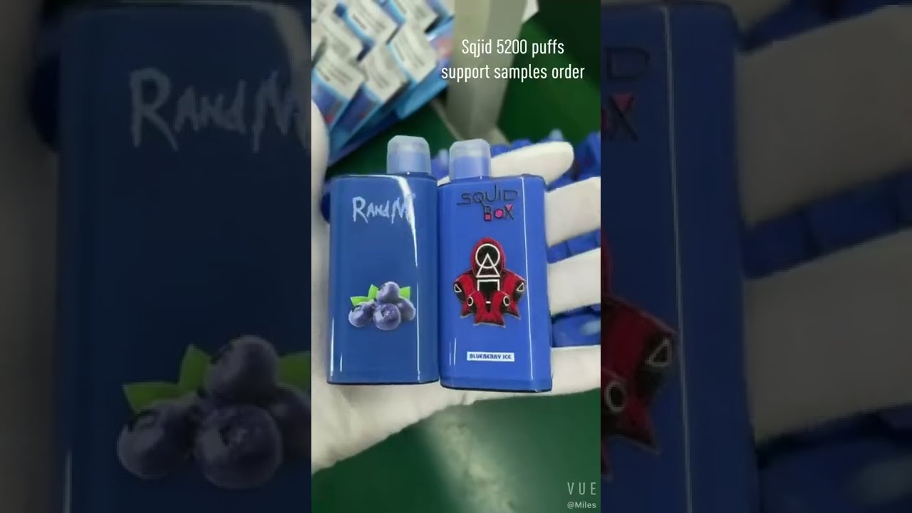 OEM/ODM Package Box Original RandM Squid Box 5200 Puffs Type C Disposable Vape Pen Hot Selling