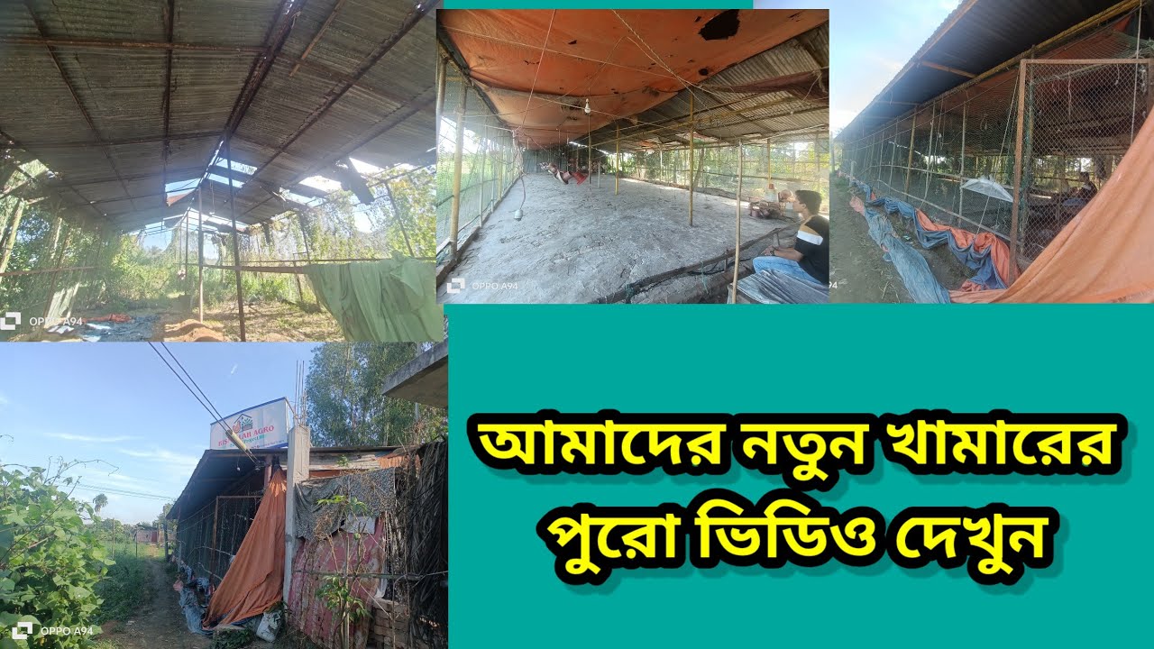 আমাদের নতুন খামারের পুরো ভিডিও || BISMILLAH ROOF & AGRO 