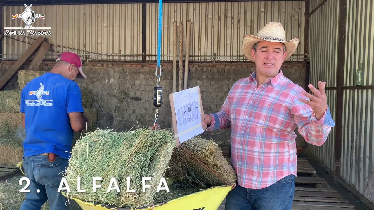 5 𝑷𝒖𝒏𝒕𝒐𝒔 𝑪𝒍𝒂𝒗𝒆 𝒅𝒆 𝒍𝒂 𝑵𝒖𝒕𝒓𝒊𝒄𝒊𝒐́𝒏 𝒆𝒏 𝑨𝒈𝒖𝒂 𝒁𝒂𝒓𝒄𝒂 🐴🐴🐴