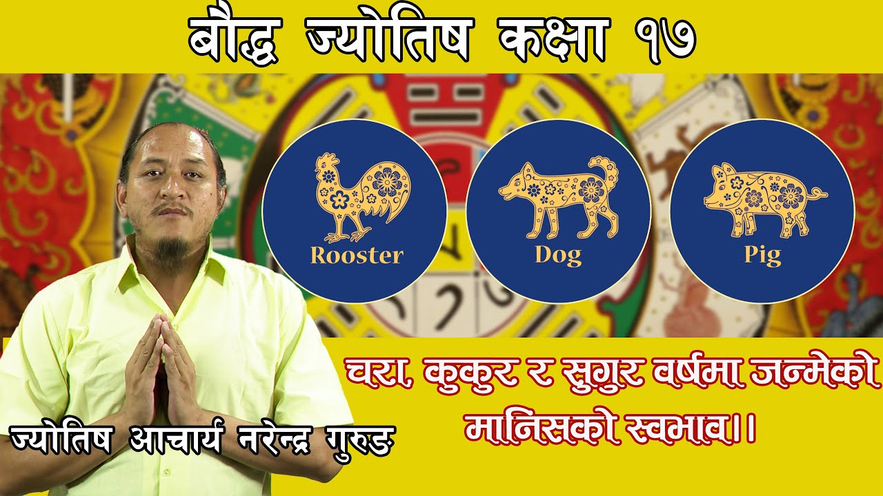 चरा, कुकुर र सुंगुर वर्षमा जन्मेको मानिसको स्वभाव।।मन्जुश्री तन्व ज्योतिष।Acharya Narendra Grg।NB TV