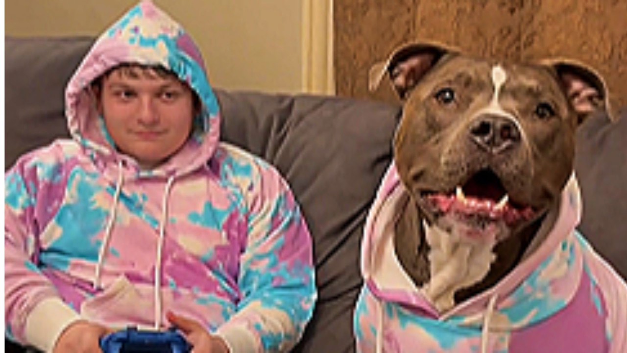 Dog adopts man who crossed streets to avoid him   This ending destroyed me