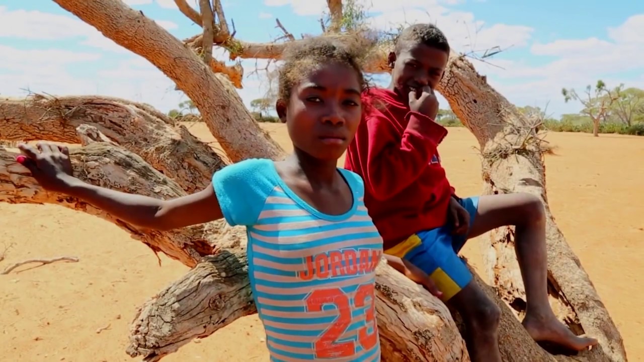 Projet Pongamia - Canopy Madagascar