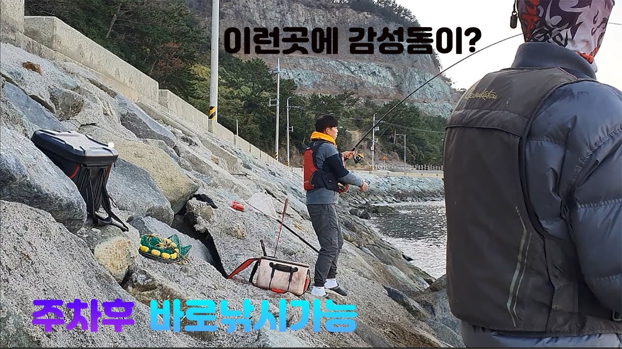 욕지도 생각지도 못한곳에서 감성돔이 주차후 바로 낚시가능한곳