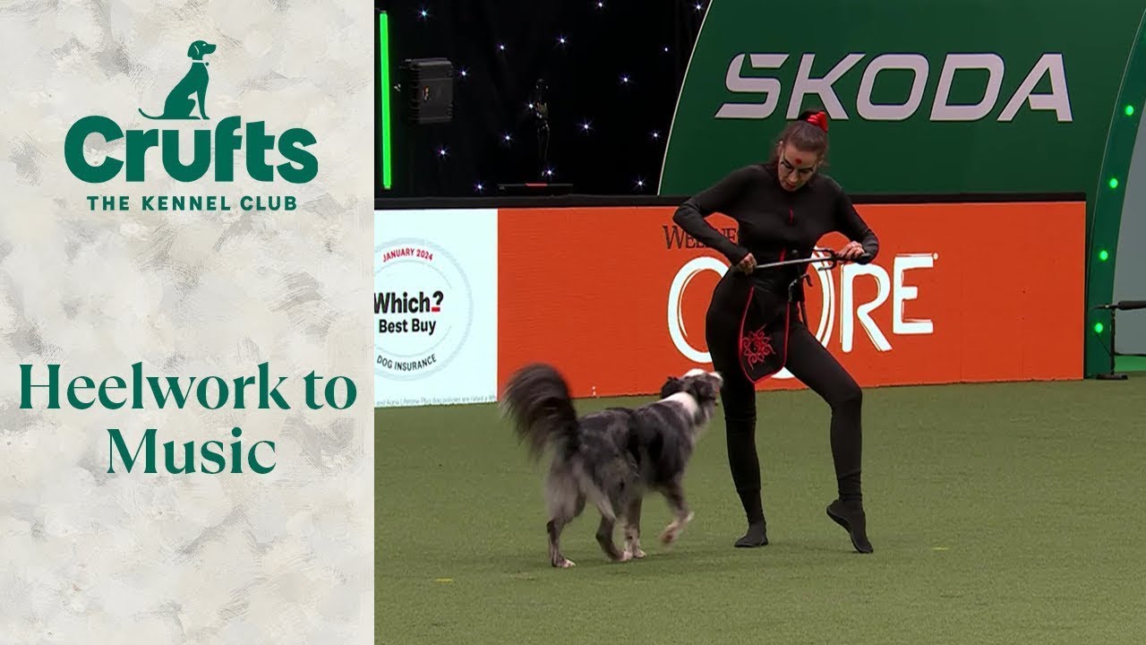 Heelwork To Music - Freestyle International Competition Part 1 | Crufts 2024