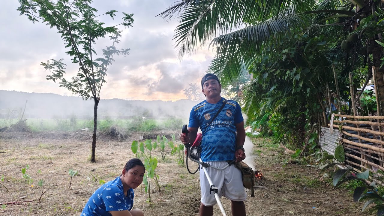 GRASS CUTTING NA TAYU SA DAMOHAN NG MAKA TANIM NA