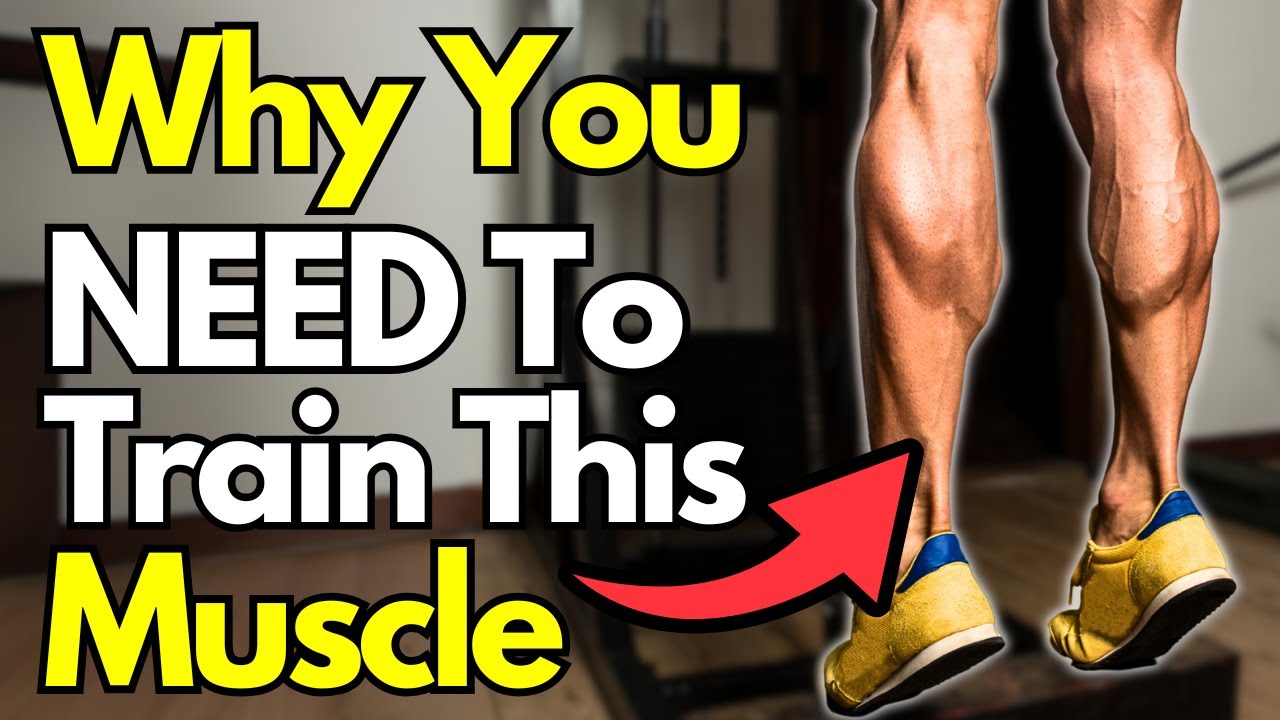 Why We Love The Soleus (& Why You Should Train It)
