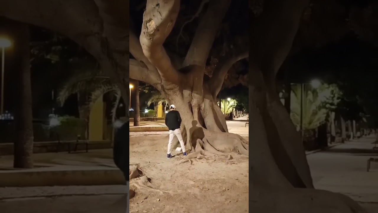 guy pees Wise Mystical Tree