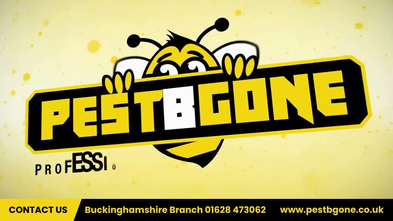Pestbgone Ltd Pest Control Experts Marlow Buckinghamshire & South East